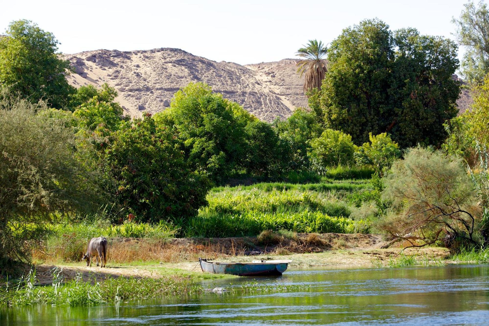 Hadouta Masreya Nubian Guest House Aswan Exterior foto